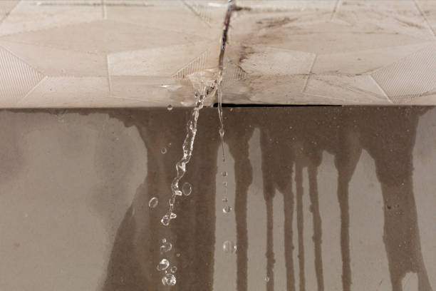 Professional Sewage Cleanup technician working in Hillsborough, CA